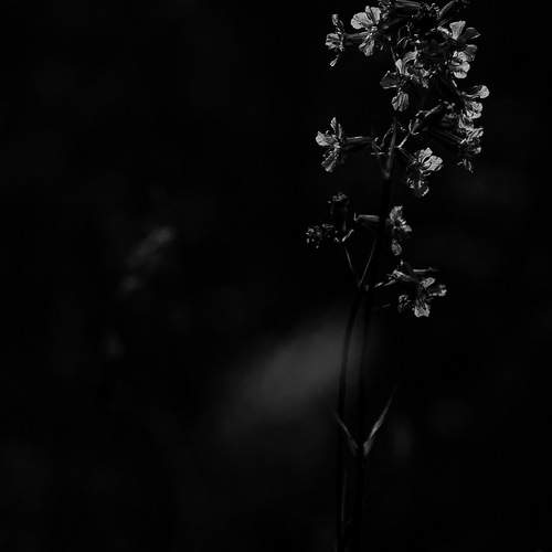 Photo #12736443