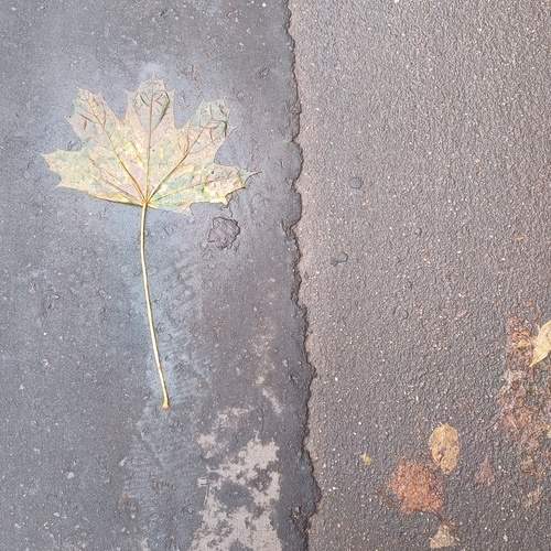 Photo #12736797