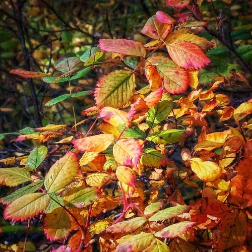 Photo #12737385
