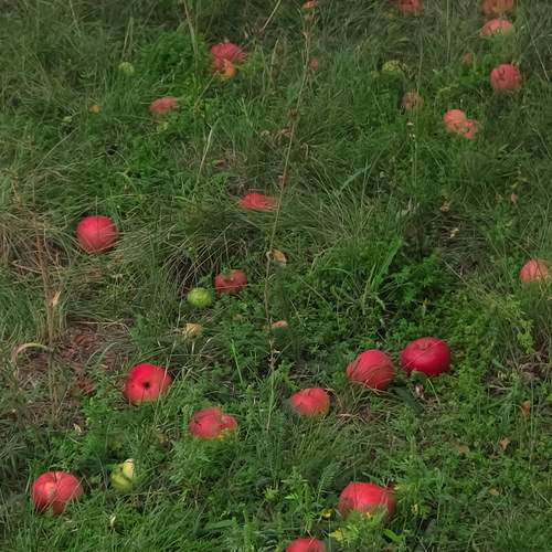 Photo #12737444