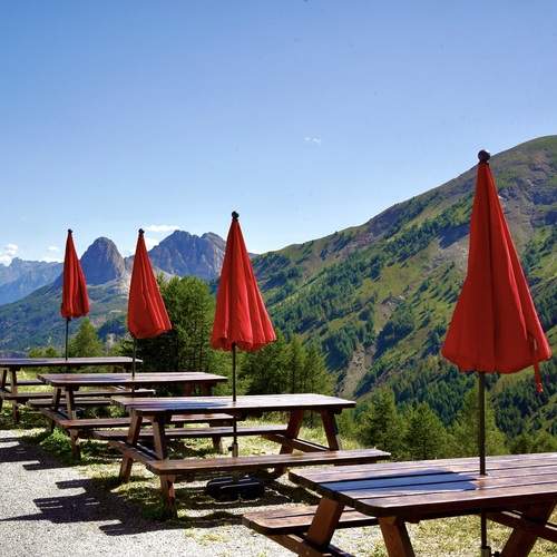 Photo #12737816