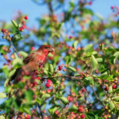 Photo #12738105