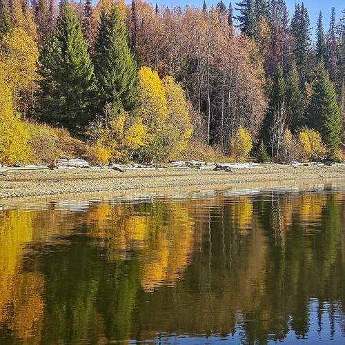 Photo #12738325