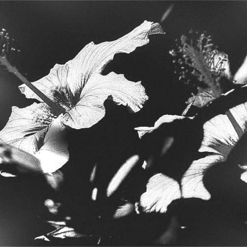 Photo #12738356