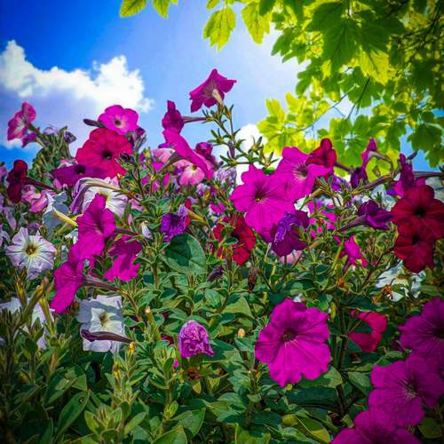 Photo #12738510