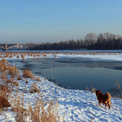 Photo #12738754