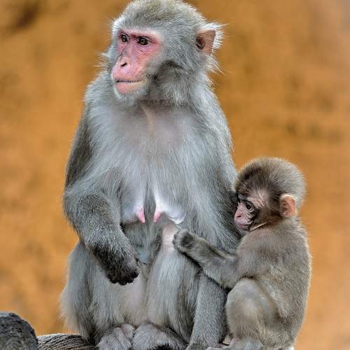 Photo #12738815