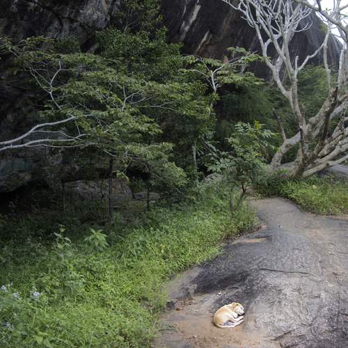 Photo #12738944