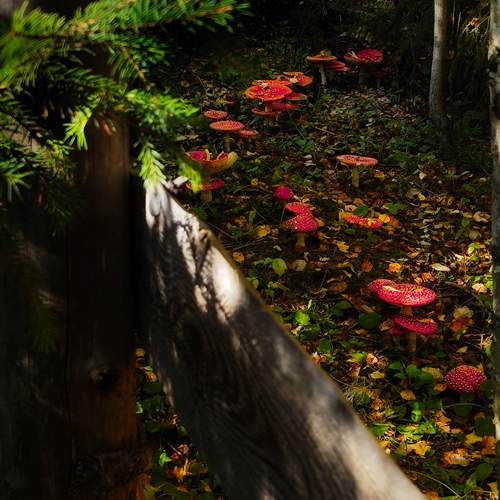 Photo #12738972