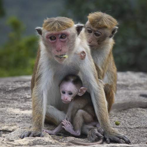 Photo #12738996