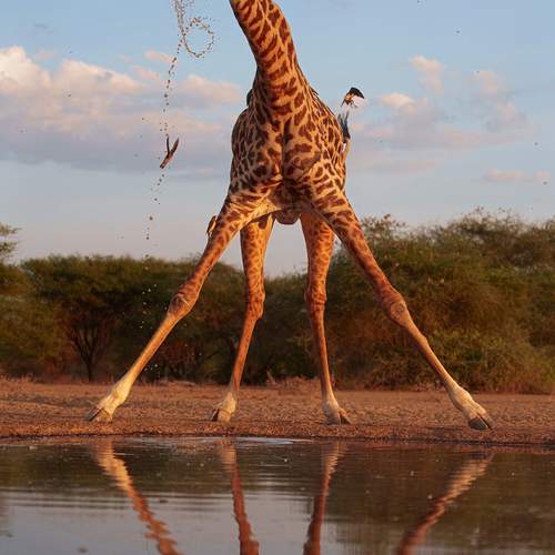 Photo #12739096