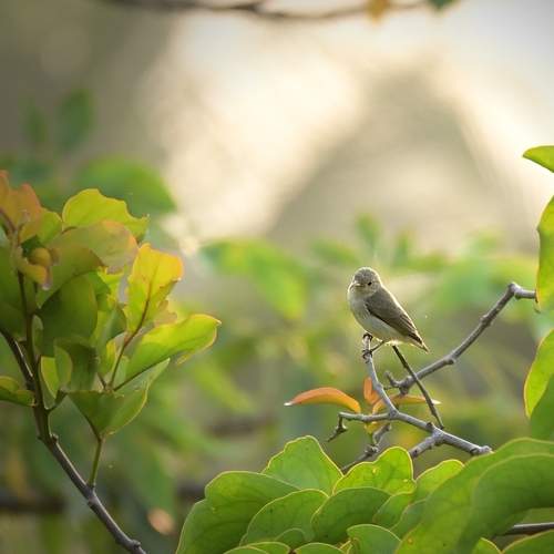 Photo #12739121