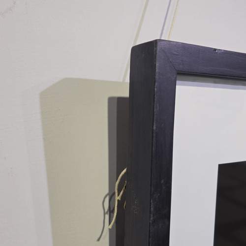 Photo #12739243