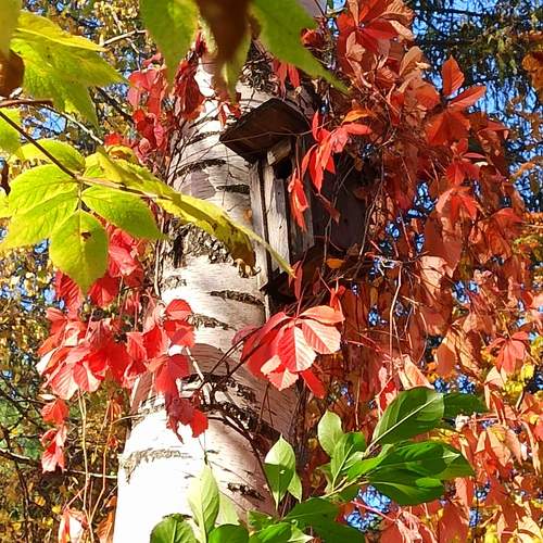 Photo #12739250