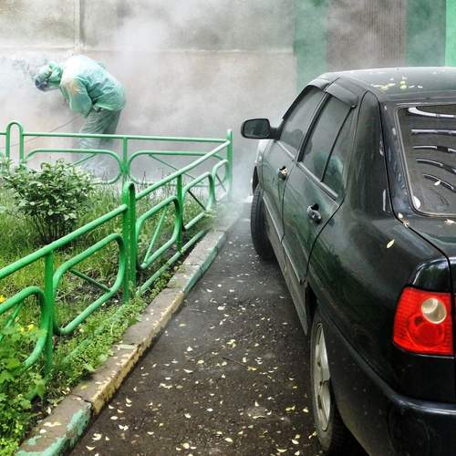 Photo #12739327
