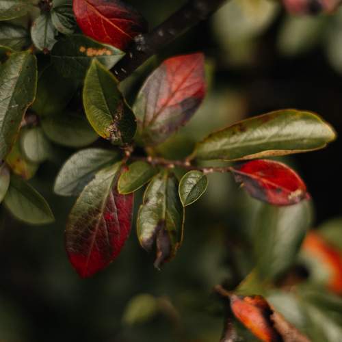 Photo #12739640