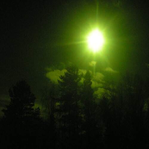 Photo #12739866