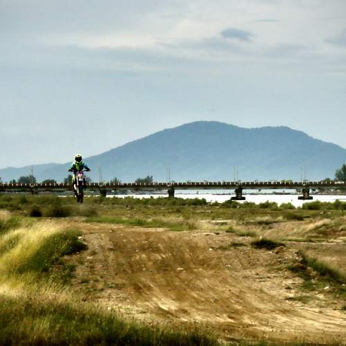 motorcycle racing in the wild