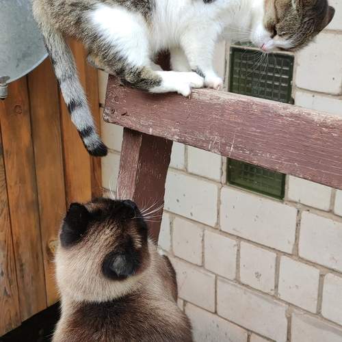 Photo #12739957