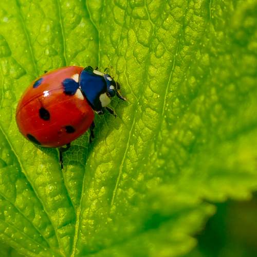Photo #12740022