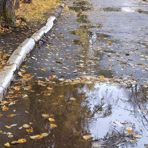 Заплакала осень
