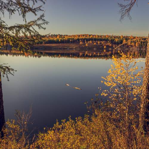 Photo #12740223