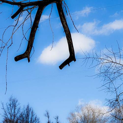 Photo #12740335