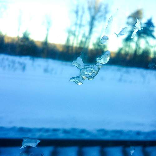 Photo #12740336