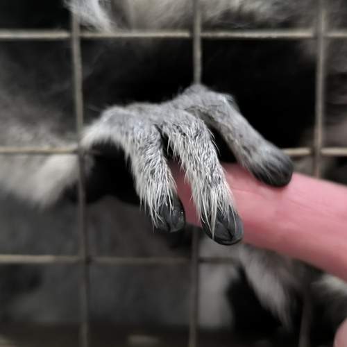 Photo #12740503