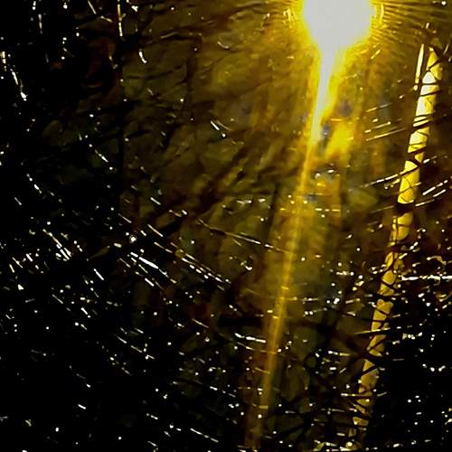 Photo #12740521