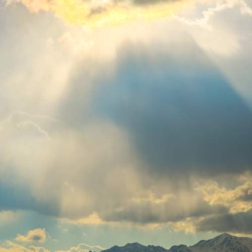 Photo #12740529