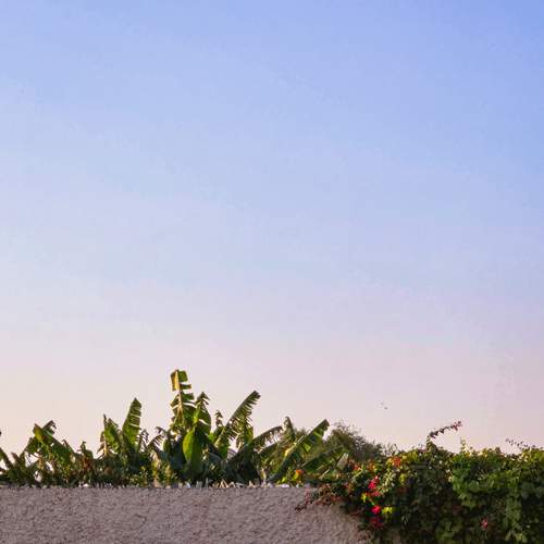 Photo #12740530