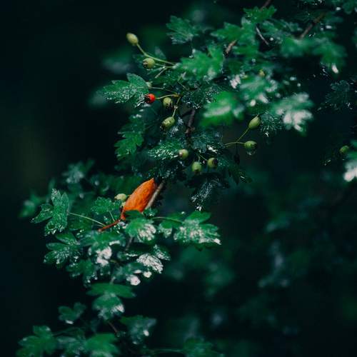 Photo #12740652