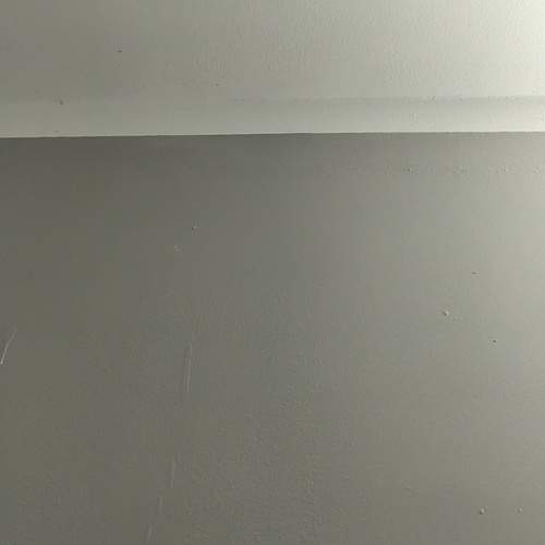 Photo #12740823