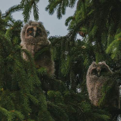Photo #12741109