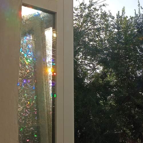 Photo #12741170