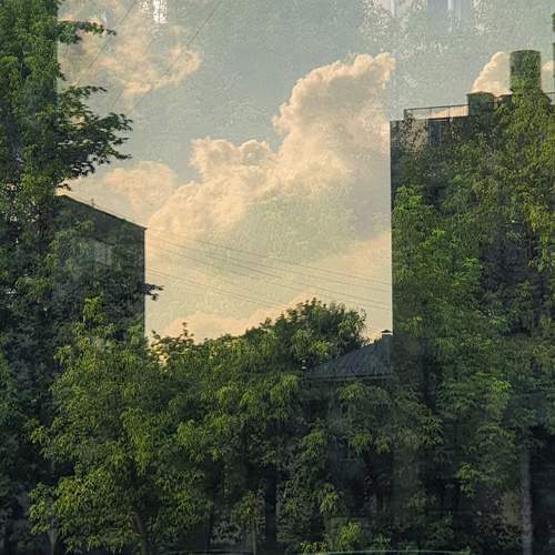 Photo #12741299