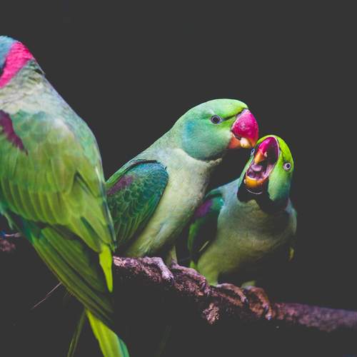 Photo #12741452