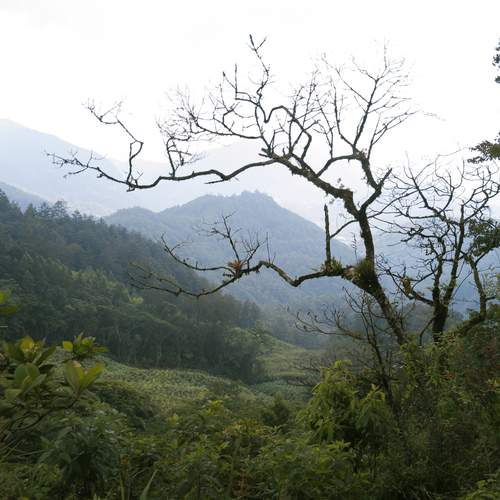 Photo #12742225