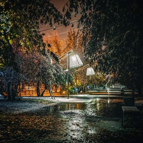 Photo #12742238