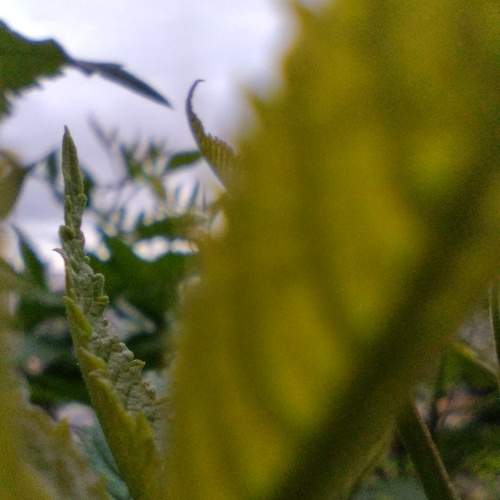 Photo #12742248