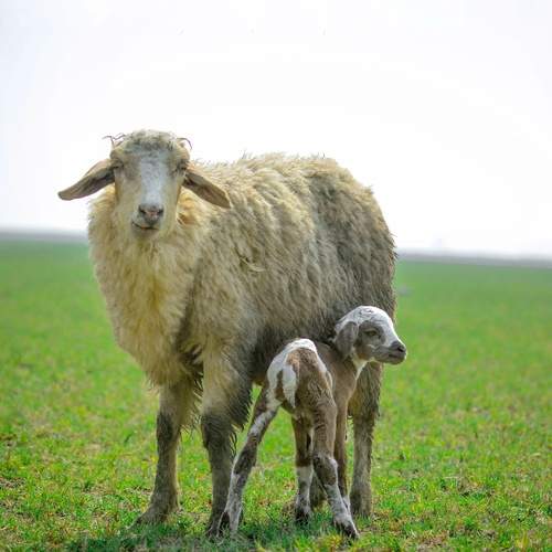 Photo #12742337