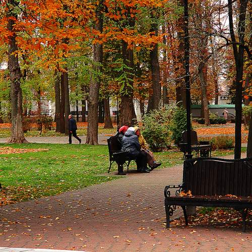 Photo #12742460
