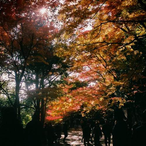 Photo #12742559