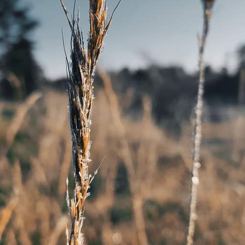 Photo #12742679
