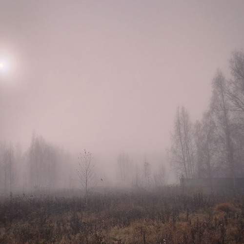 Photo #12742763