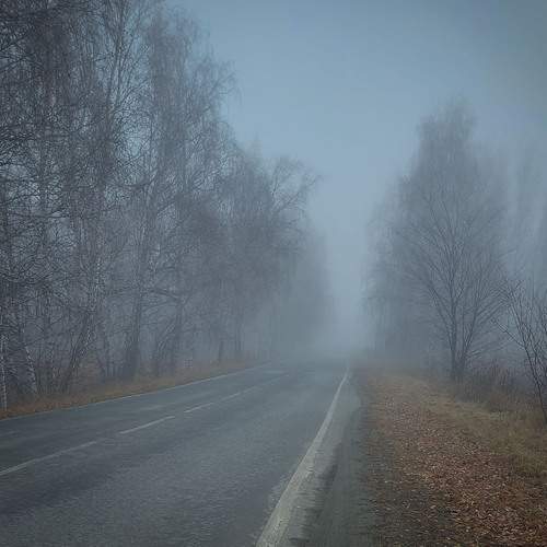 Photo #12742764