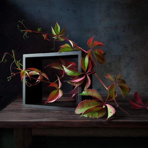 Photo #12742963