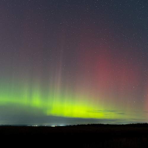 Photo #12742986