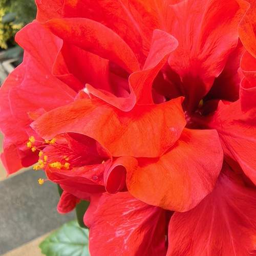 Photo #12743031